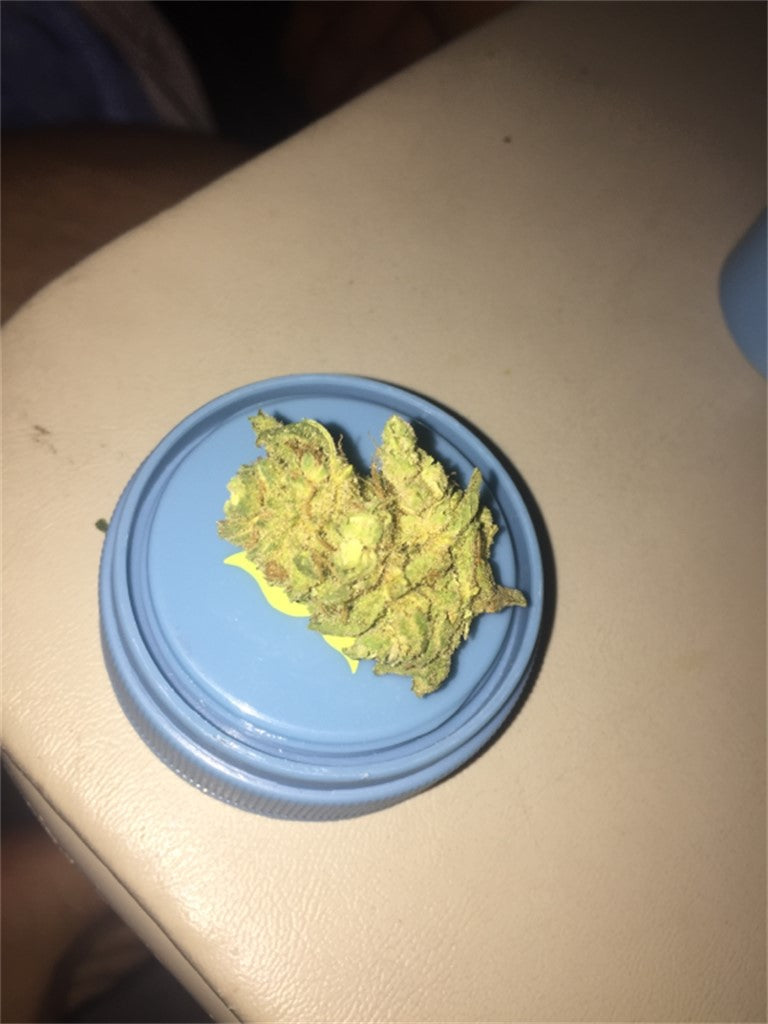 Gumbo marijuana strain flower with ammonia and pine flavor and sleepy / relaxed effects - Rare Harvest indica