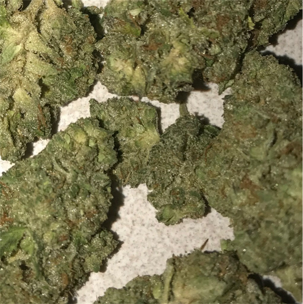 Guptilla marijuana strain flower with pepper and grape flavor and aroused / happy effects - Rare Harvest hybrid