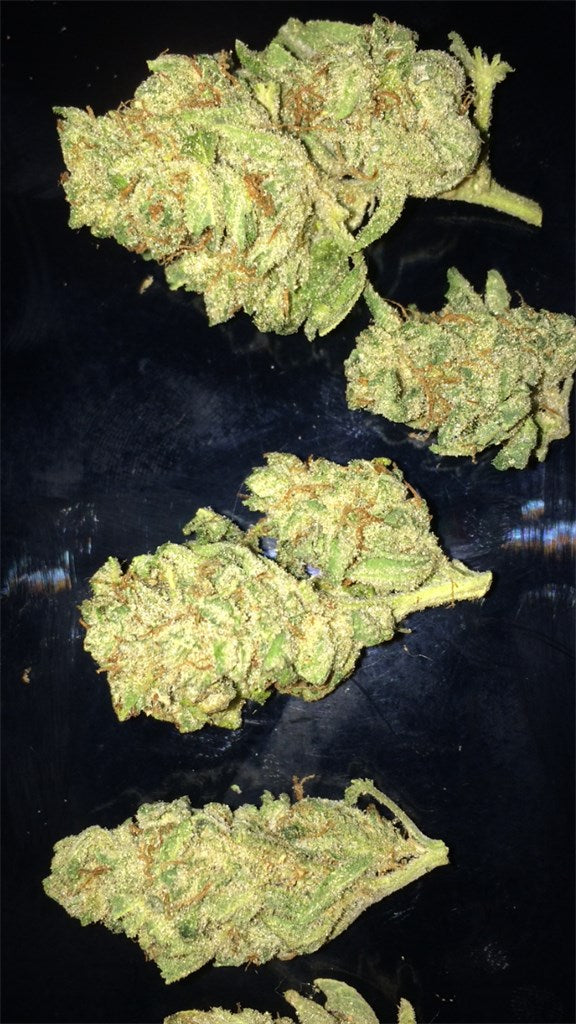 Gutbuster marijuana strain flower with vanilla and blueberry flavor and creative / euphoric effects - Rare Harvest indica