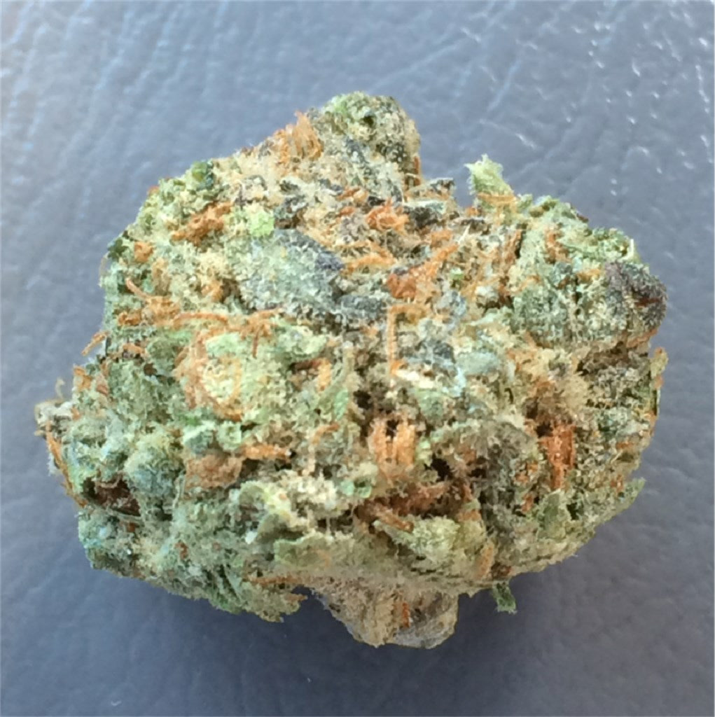 Haole marijuana strain flower with woody and blue cheese flavor and creative / giggly effects - Rare Harvest hybrid