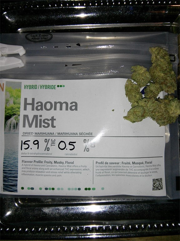 Haoma Mist marijuana strain flower with apple and sweet flavor and creative / uplifted effects - Rare Harvest hybrid