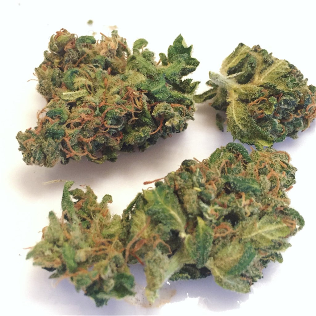 Harle-Tsu marijuana strain flower with woody and spicy/herbal flavor and relaxed / focused effects - Rare Harvest hybrid