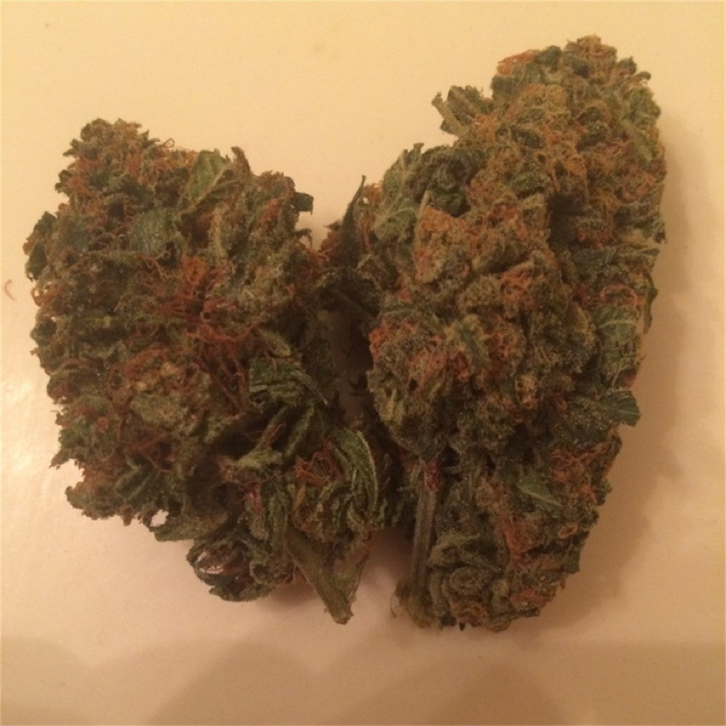 Hashbar OG marijuana strain flower with diesel and earthy flavor and relaxed / sleepy effects - Rare Harvest indica