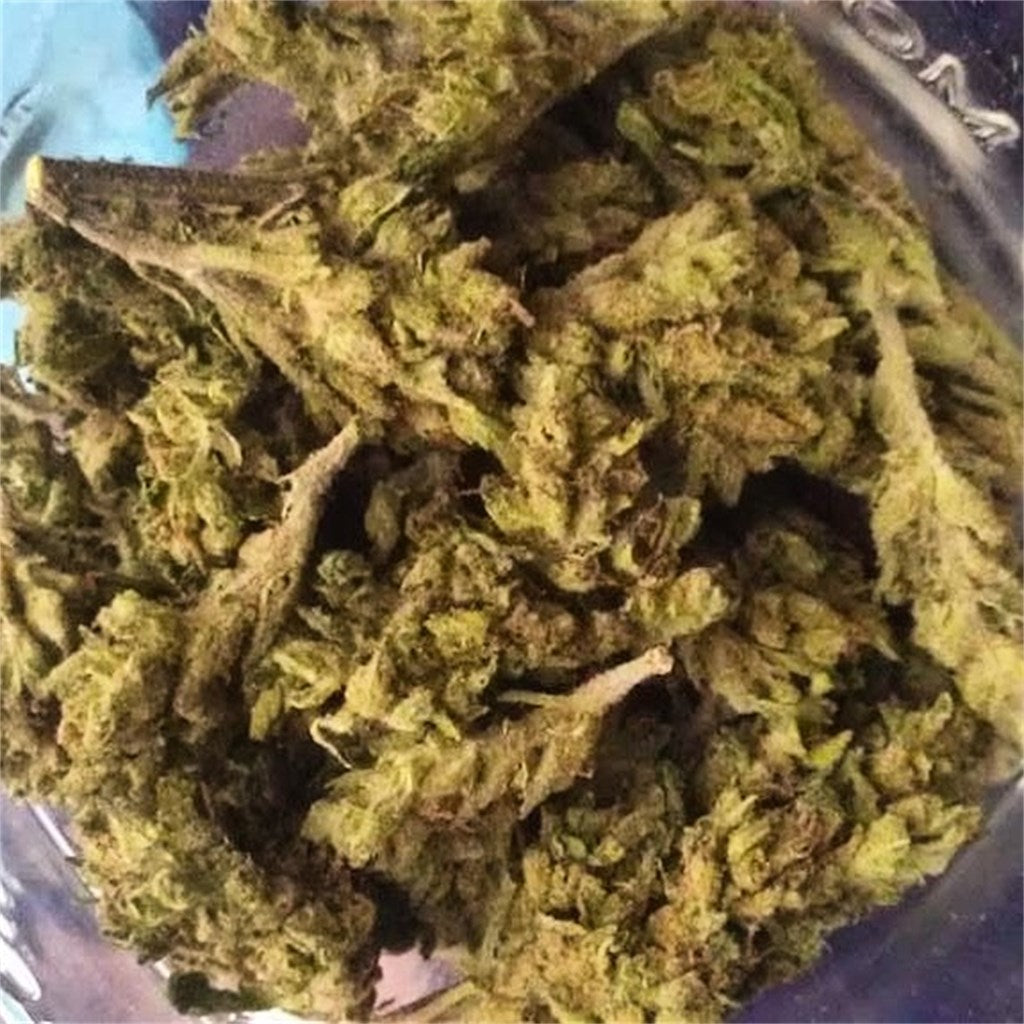 Hawaiian Diesel marijuana strain flower with tropical and diesel flavor and aroused / energetic effects - Rare Harvest sativa