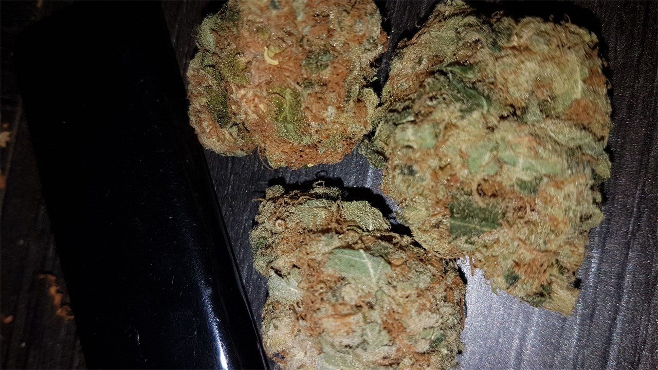 Hawaiian Dream marijuana strain flower with tropical and grapefruit flavor and focused / uplifted effects - Rare Harvest sativa