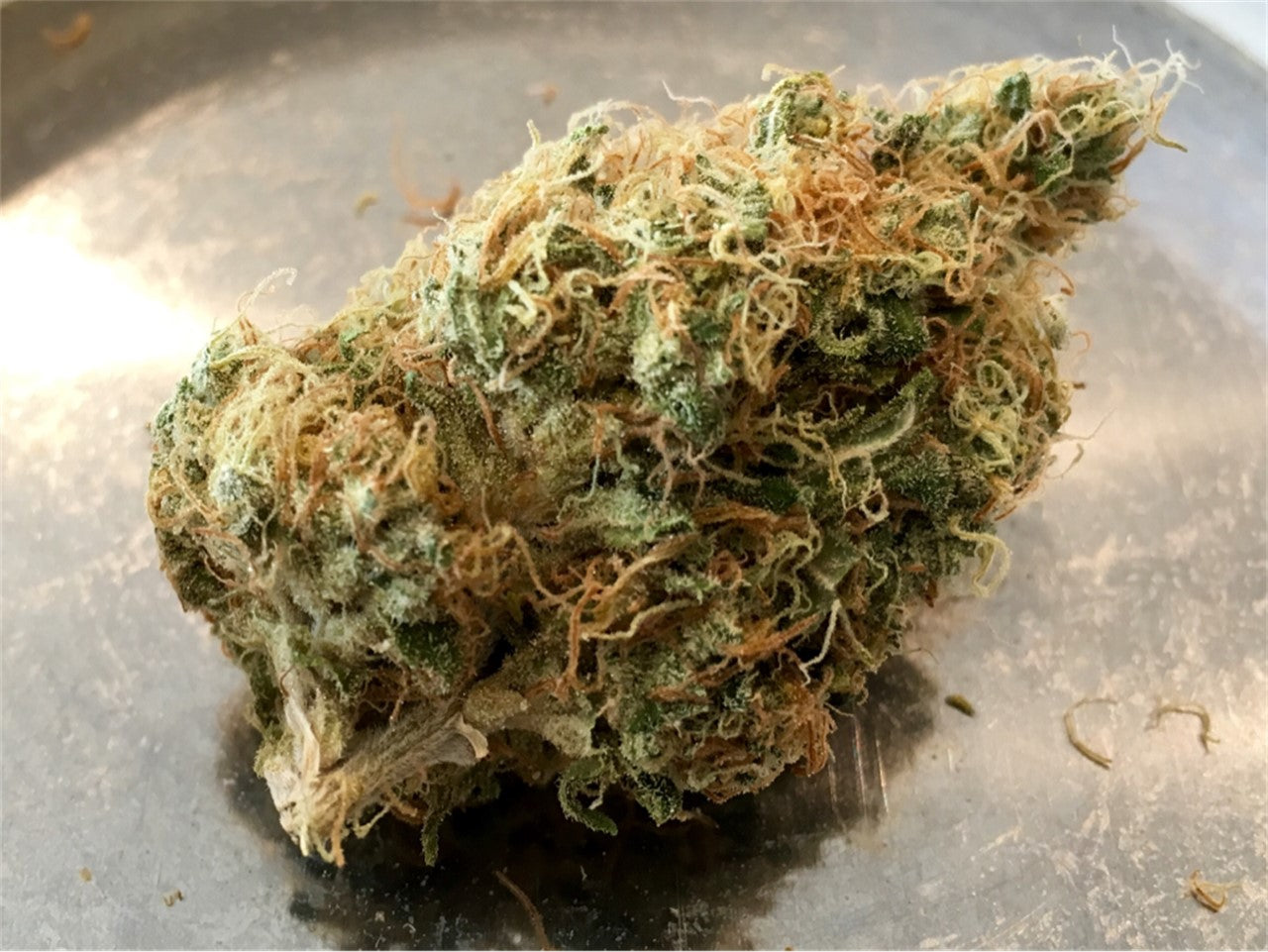 Hawaiian Haze marijuana strain flower with tropical and pineapple flavor and talkative / uplifted effects - Rare Harvest sativa