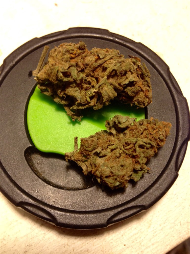 Hawaiian Thunder Fuck marijuana strain flower with pineapple and tropical flavor and energetic / creative effects - Rare Harvest hybrid
