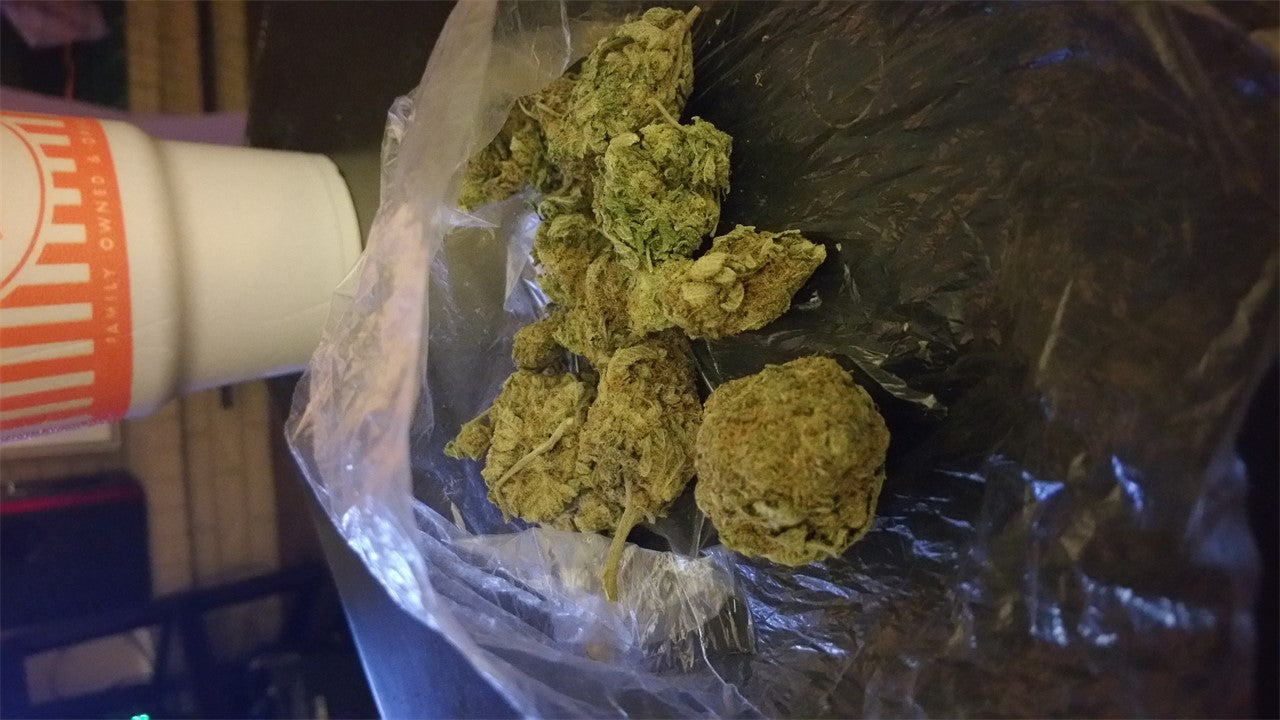 Haze Berry marijuana strain flower with berry and coffee flavor and energetic / creative effects - Rare Harvest sativa