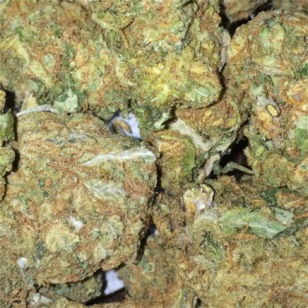 Haze marijuana strain flower with spicy/herbal and tobacco flavor and energetic / creative effects - Rare Harvest sativa