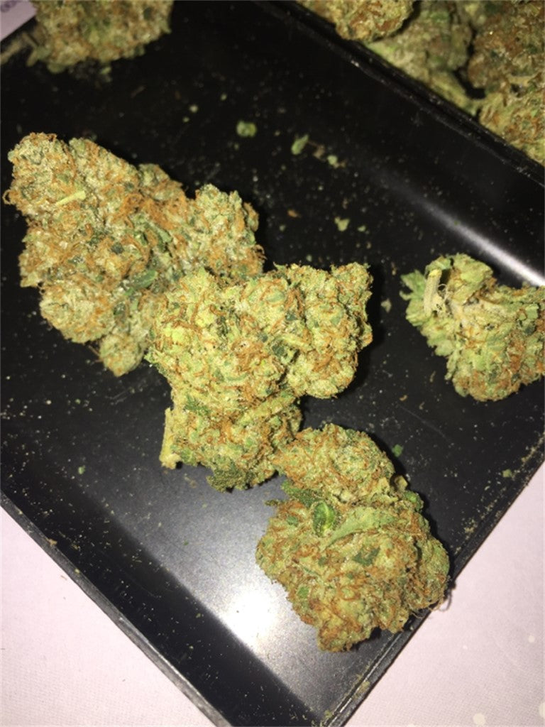 Headbanger marijuana strain flower with chemical and skunk flavor and euphoric / focused effects - Rare Harvest hybrid