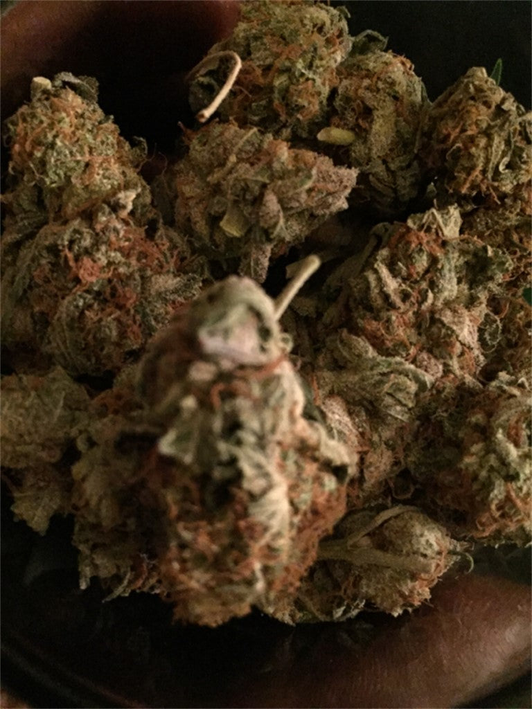 Heaven Scent marijuana strain flower with berry and orange flavor and focused / uplifted effects - Rare Harvest hybrid