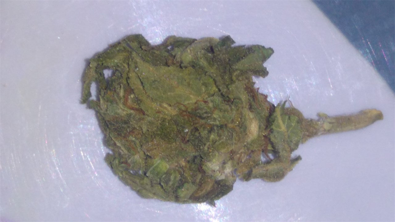 Heavy Duty Fruity marijuana strain flower with tree fruit and peach flavor and tingly / hungry effects - Rare Harvest hybrid
