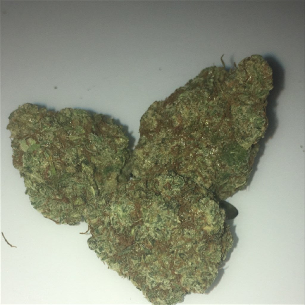Hell Raiser OG marijuana strain flower with pine and citrus flavor and uplifted / energetic effects - Rare Harvest hybrid