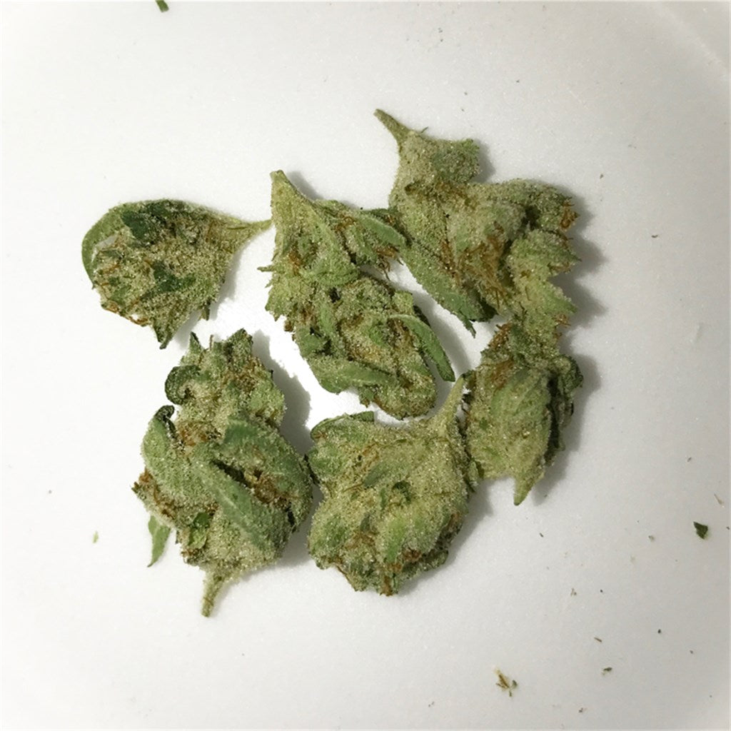 Hell's OG marijuana strain flower with earthy and sage flavor and sleepy / relaxed effects - Rare Harvest hybrid