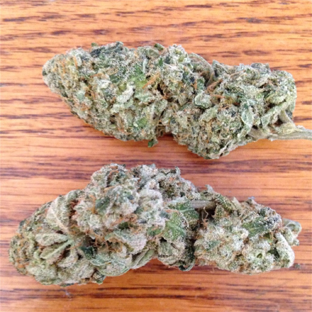 Hempstar marijuana strain flower with woody and earthy flavor and focused / energetic effects - Rare Harvest sativa