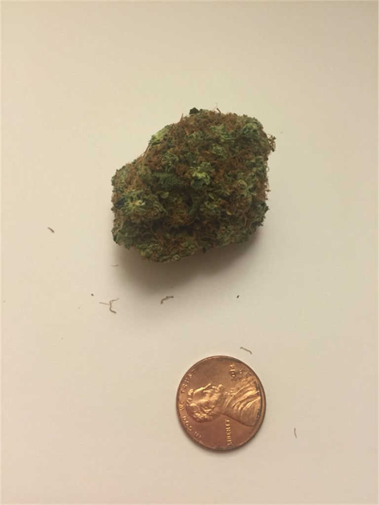 Hercules marijuana strain flower with honey and earthy flavor and focused / happy effects - Rare Harvest hybrid