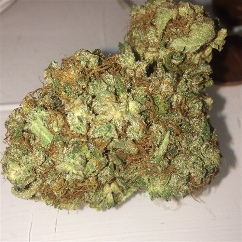 Himalayan Gold marijuana strain flower with tree fruit and tar flavor and sleepy / euphoric effects - Rare Harvest hybrid