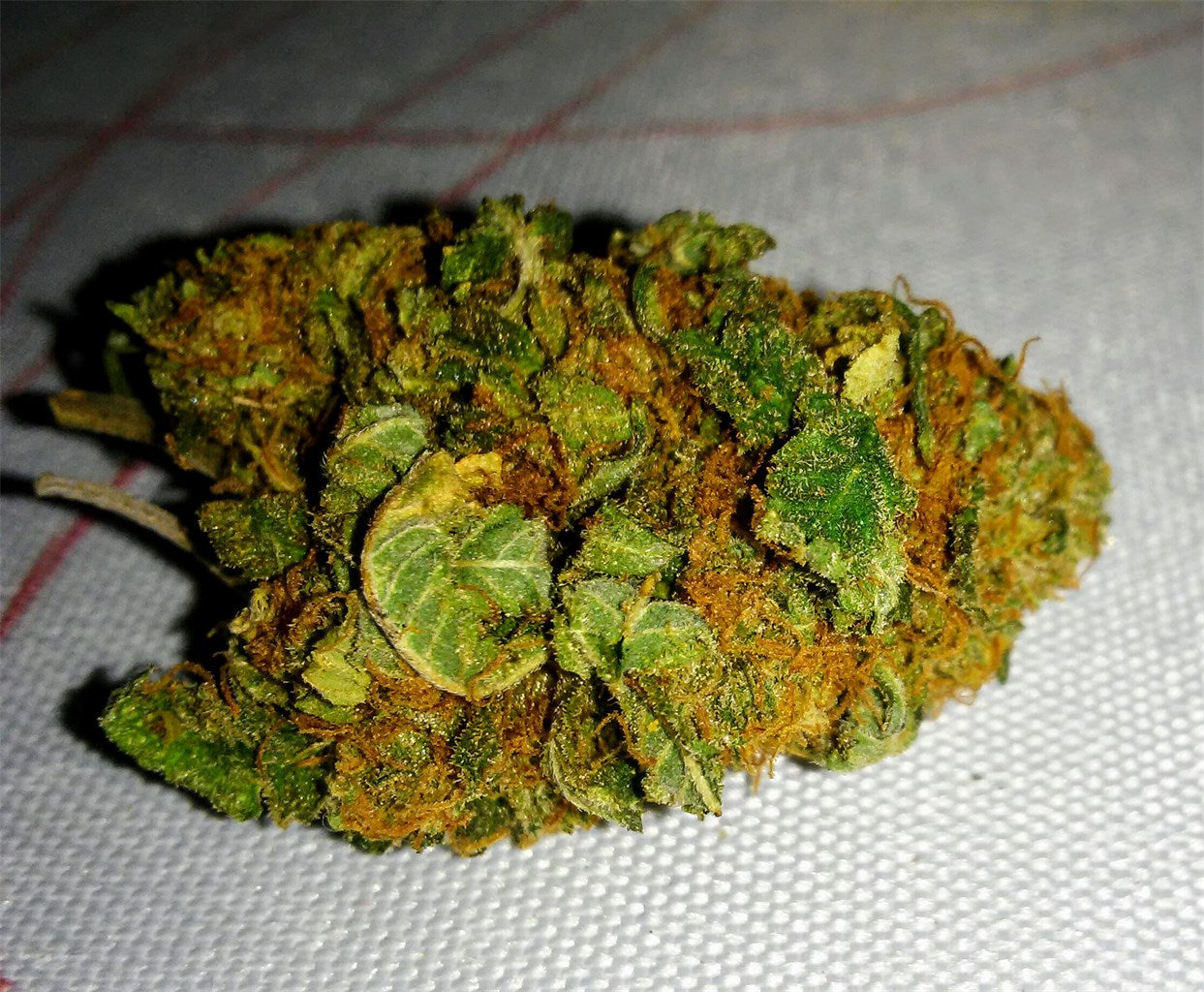 Hindu Kush marijuana strain flower with earthy and woody flavor and sleepy / relaxed effects - Rare Harvest indica