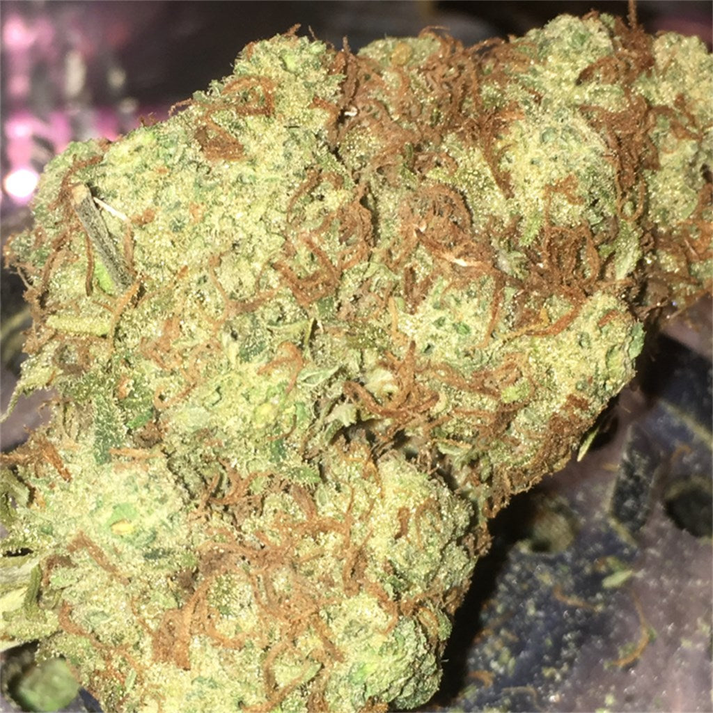Hindu Skunk marijuana strain flower with skunk and pungent flavor and euphoric / aroused effects - Rare Harvest indica