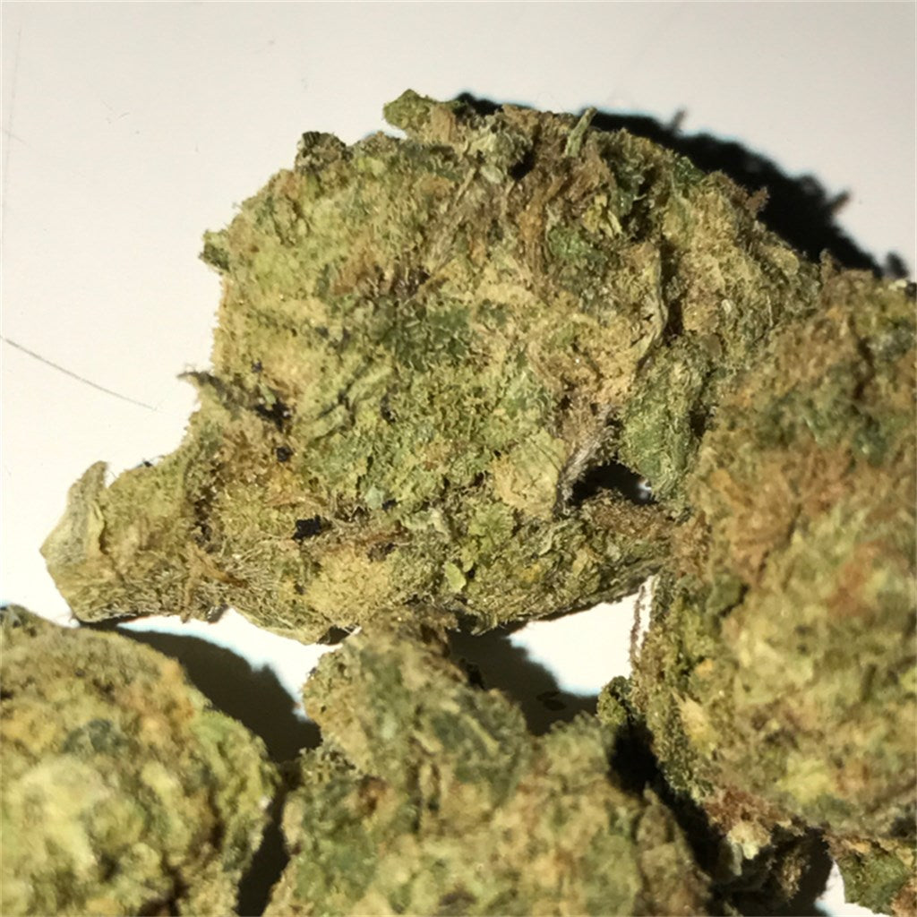 Hollywood OG marijuana strain flower with diesel and earthy flavor and focused / relaxed effects - Rare Harvest hybrid