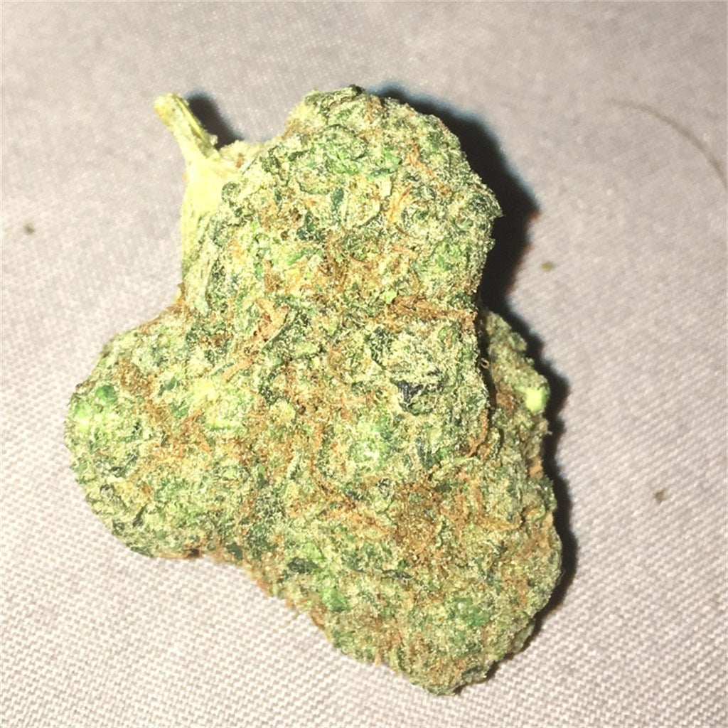 Holy Ghost marijuana strain flower with diesel and blue cheese flavor and hungry / relaxed effects - Rare Harvest hybrid