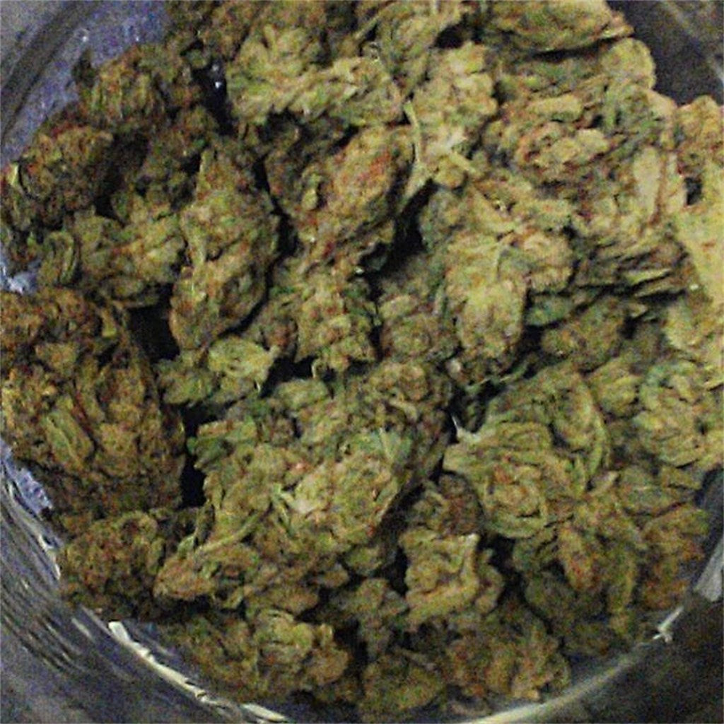Hong Kong marijuana strain flower with diesel and coffee flavor and uplifted / energetic effects - Rare Harvest hybrid