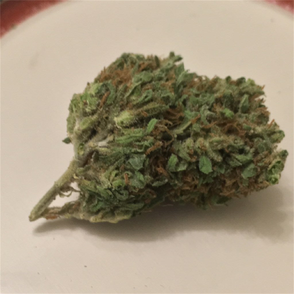 Hoodwreck marijuana strain flower with sweet and mint flavor and energetic / creative effects - Rare Harvest sativa