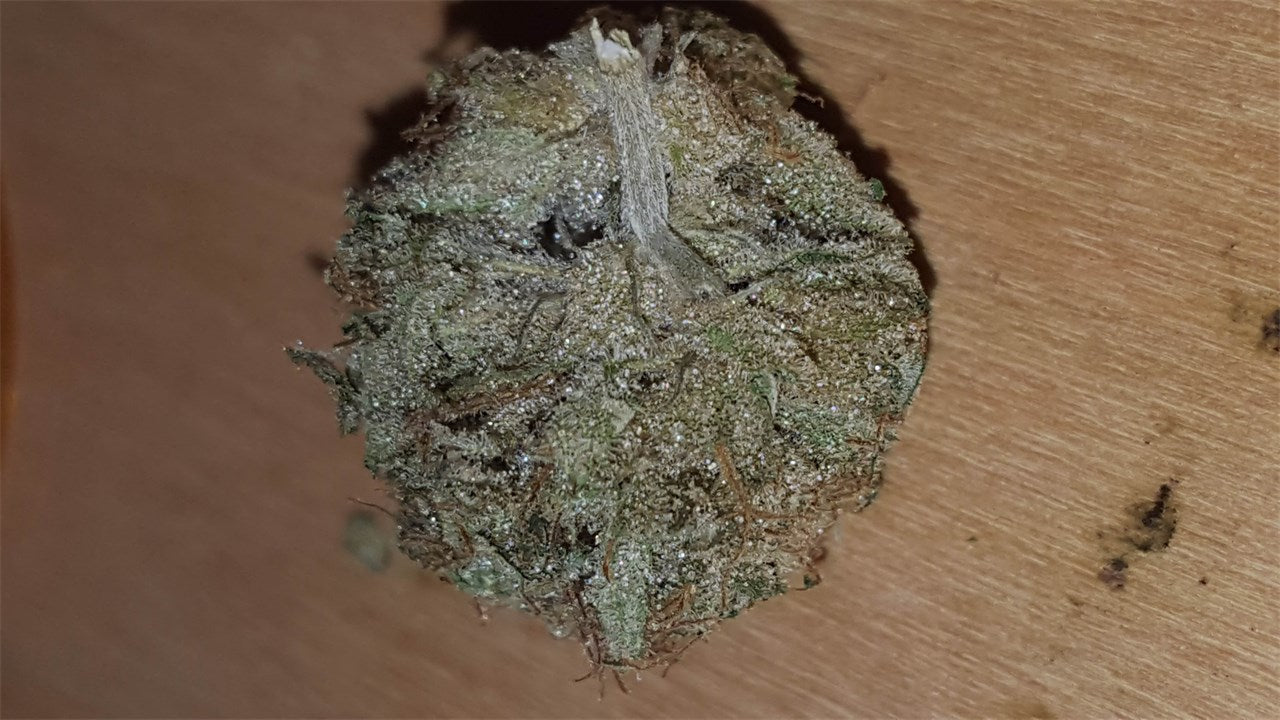 Humboldt Dream marijuana strain flower with berry and diesel flavor and uplifted / relaxed effects - Rare Harvest indica