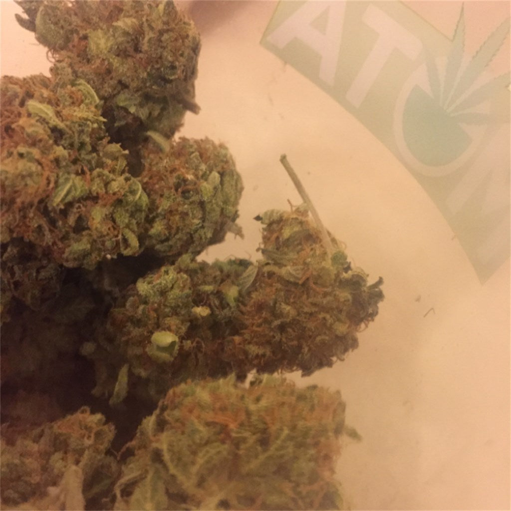 Hurricane marijuana strain flower with spicy/herbal and tea flavor and uplifted / energetic effects - Rare Harvest sativa