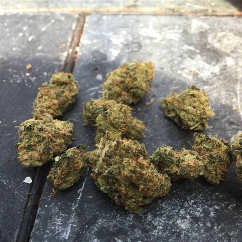 Ice Queen marijuana strain flower with rose and pepper flavor and creative / uplifted effects - Rare Harvest hybrid