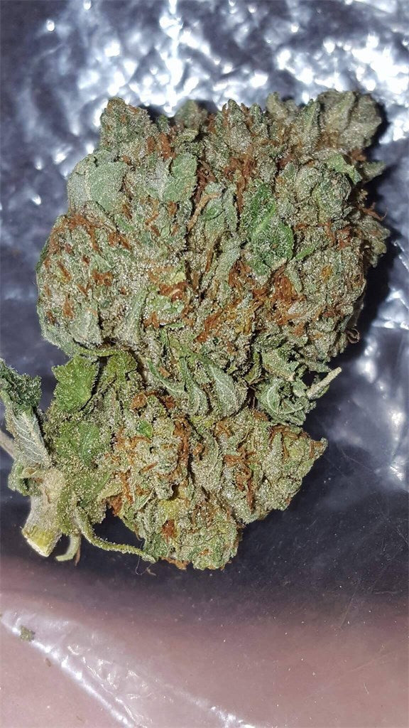 Ice Wreck marijuana strain flower with menthol and ammonia flavor and tingly / euphoric effects - Rare Harvest hybrid