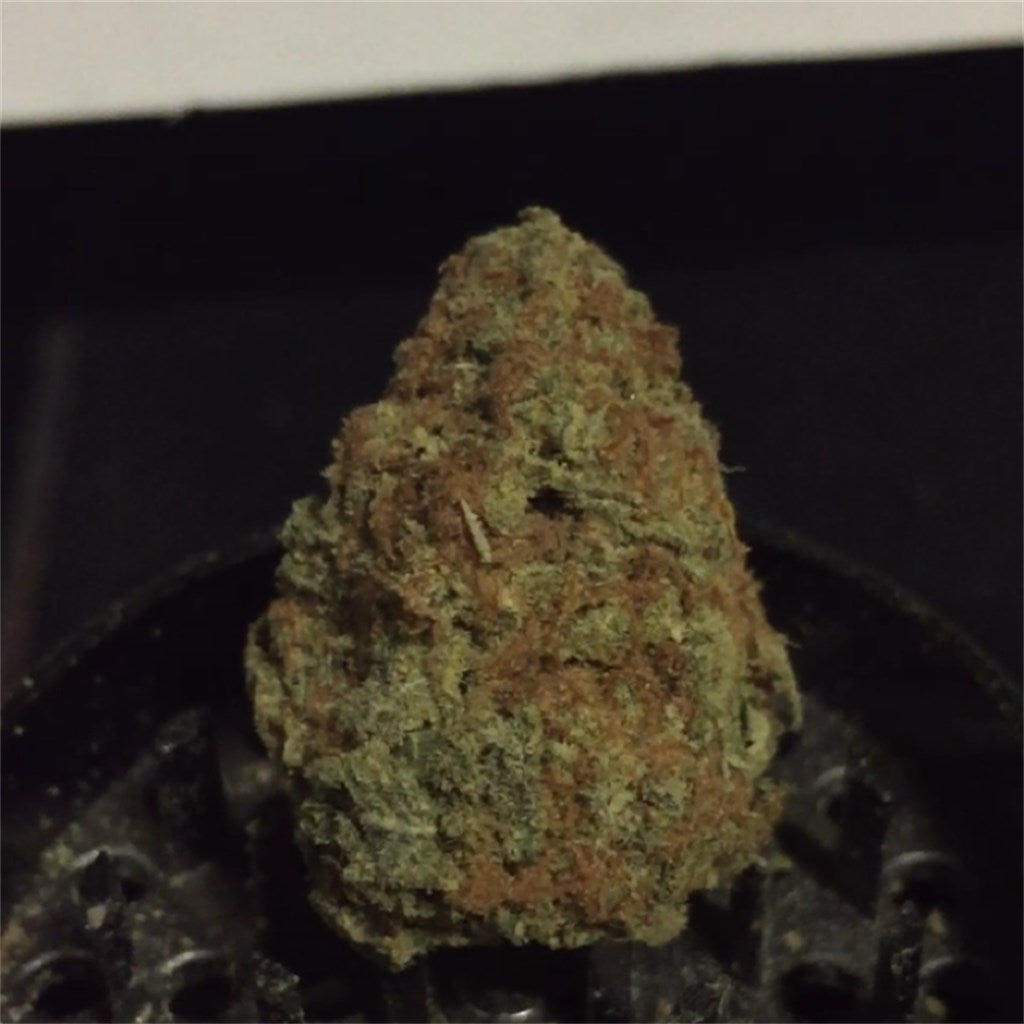 Iced Widow marijuana strain flower with strawberry and earthy flavor and happy / hungry effects - Rare Harvest indica