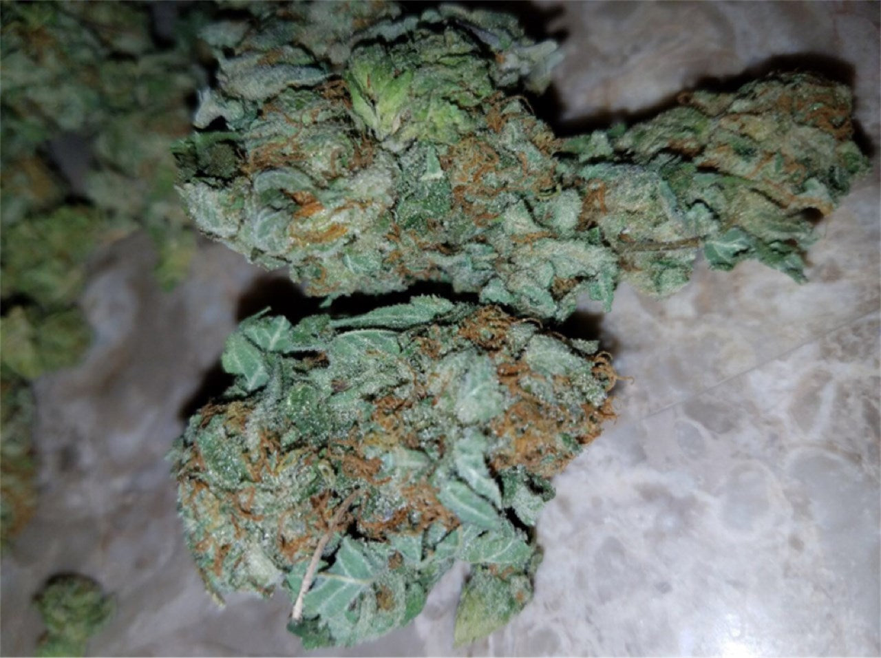 IG Kush marijuana strain flower with orange and sweet flavor and happy / sleepy effects - Rare Harvest hybrid