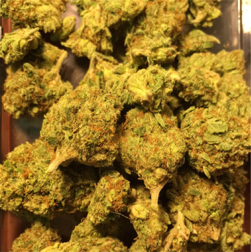 Illuminati OG marijuana strain flower with tea and pine flavor and relaxed / sleepy effects - Rare Harvest indica