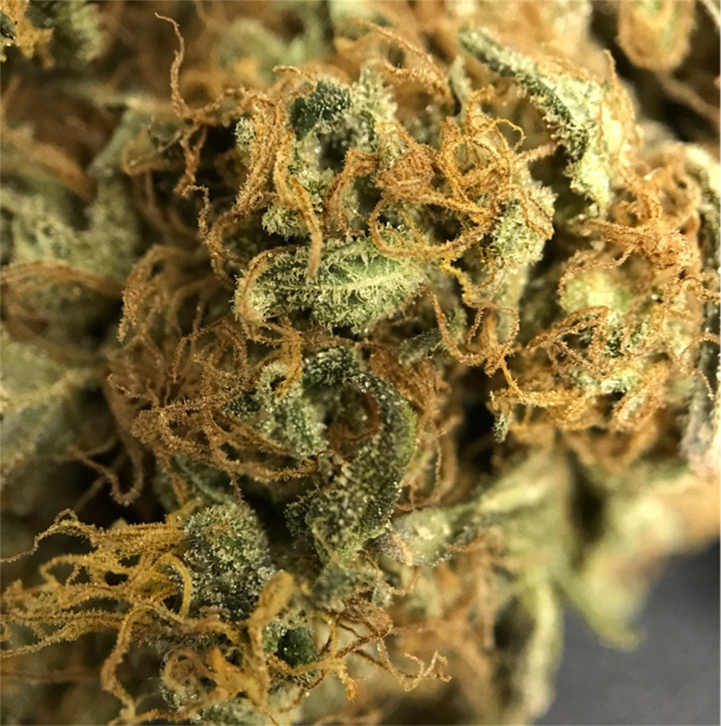 Incredible Bulk marijuana strain flower with skunk and earthy flavor and sleepy / relaxed effects - Rare Harvest indica