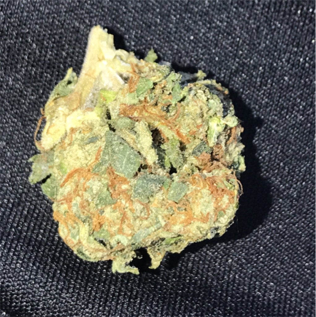 Incredible Hulk marijuana strain flower with nutty and earthy flavor and energetic / focused effects - Rare Harvest sativa