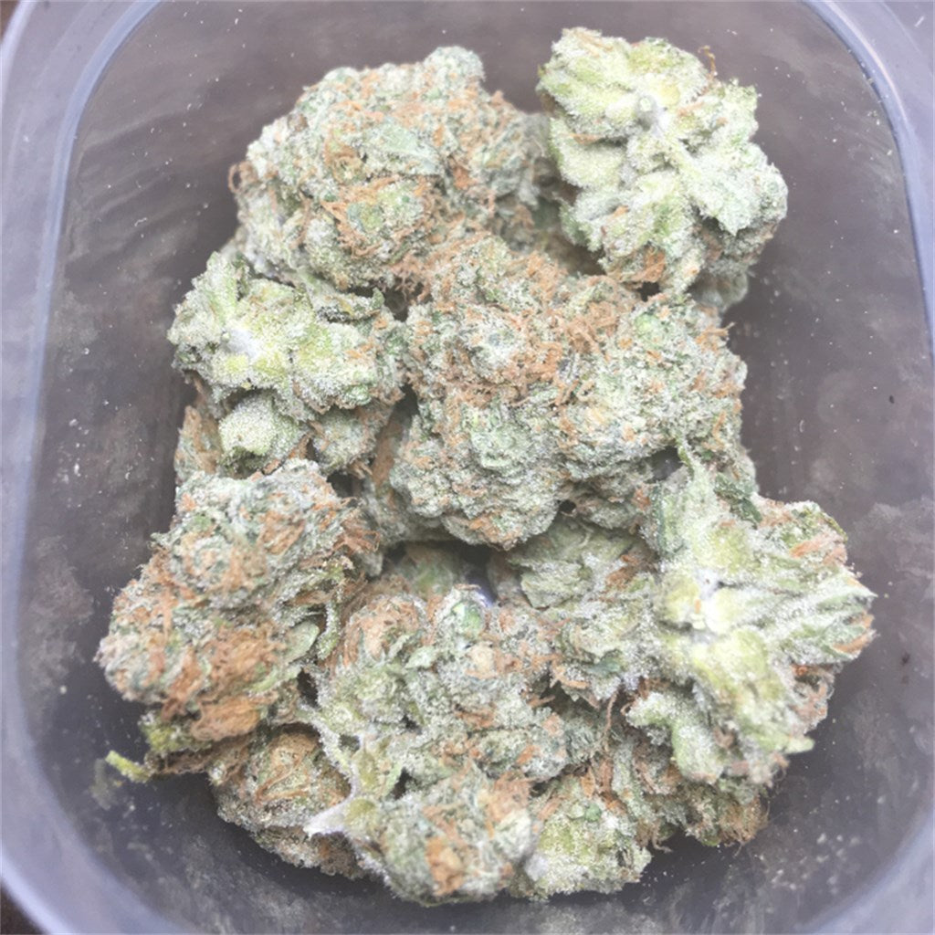 Ingrid marijuana strain flower with cheese and skunk flavor and sleepy / relaxed effects - Rare Harvest indica