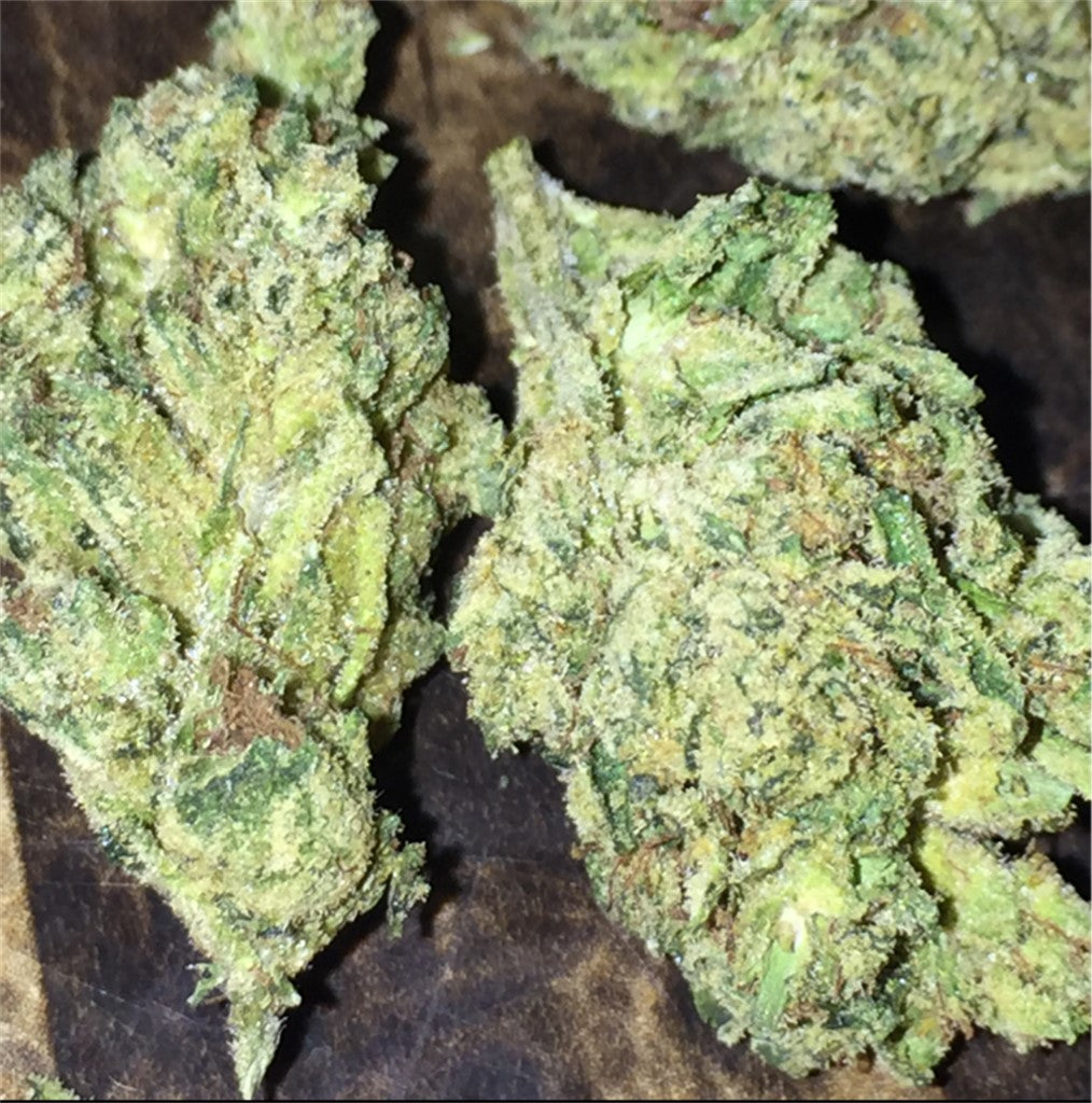 Irene OG marijuana strain flower with earthy and diesel flavor and relaxed / creative effects - Rare Harvest hybrid
