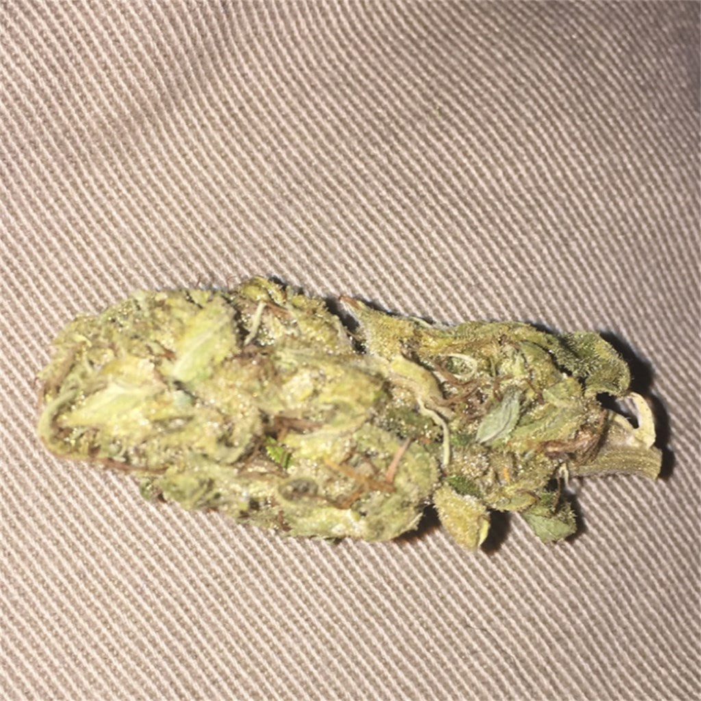 Iron Triangle marijuana strain flower with diesel and lemon flavor and happy / tingly effects - Rare Harvest hybrid