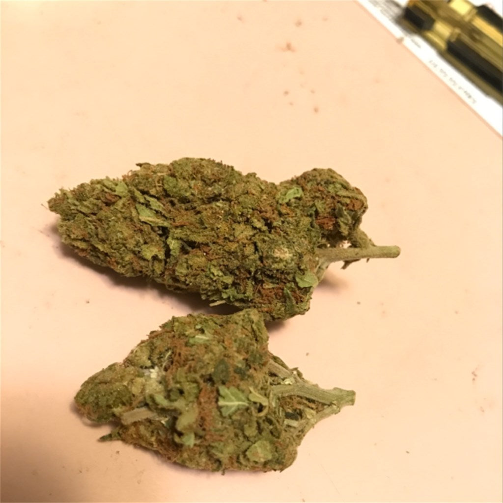 Island Haze marijuana strain flower with blueberry and berry flavor and creative / uplifted effects - Rare Harvest sativa
