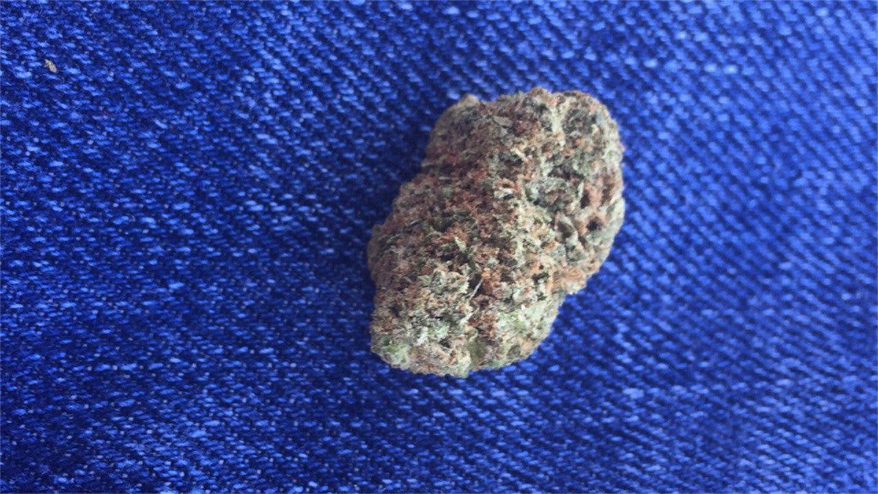 Island Maui Haze marijuana strain flower with mango and tropical flavor and creative / euphoric effects - Rare Harvest sativa