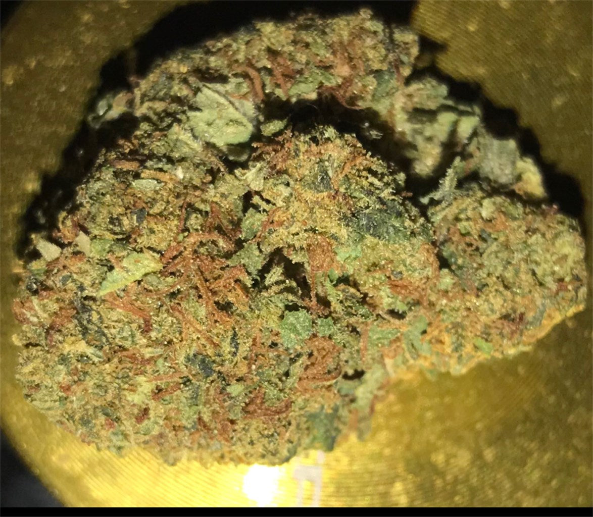 Island Sweet Skunk marijuana strain flower with skunk and tropical flavor and energetic / focused effects - Rare Harvest sativa