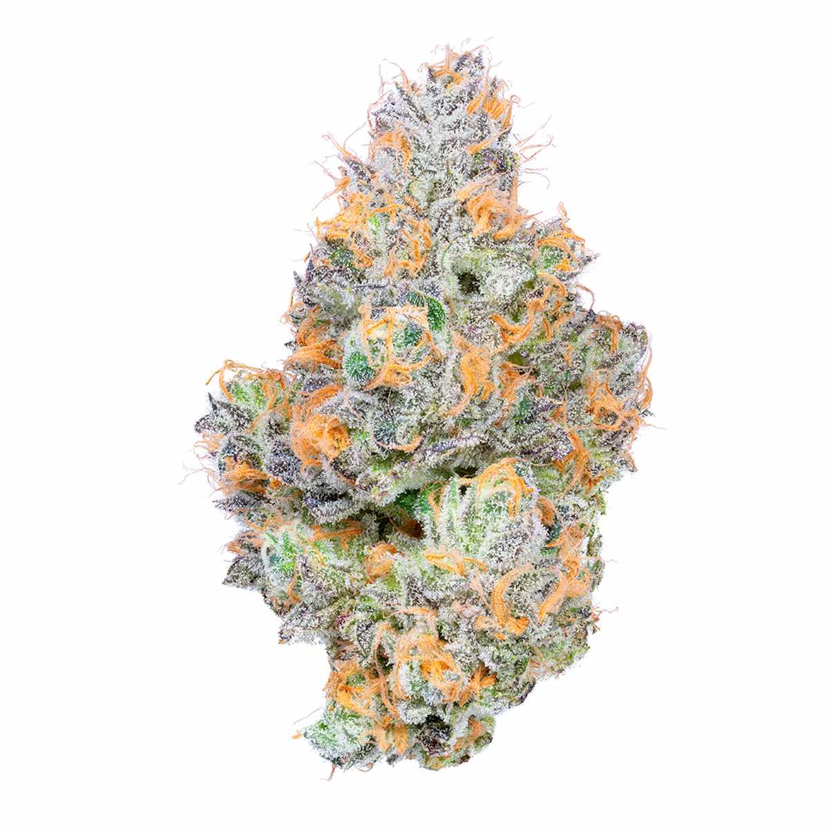 Tropical Z marijuana strain flower with tropical and citrus flavor and energetic / focused effects - Rare Harvest hybrid