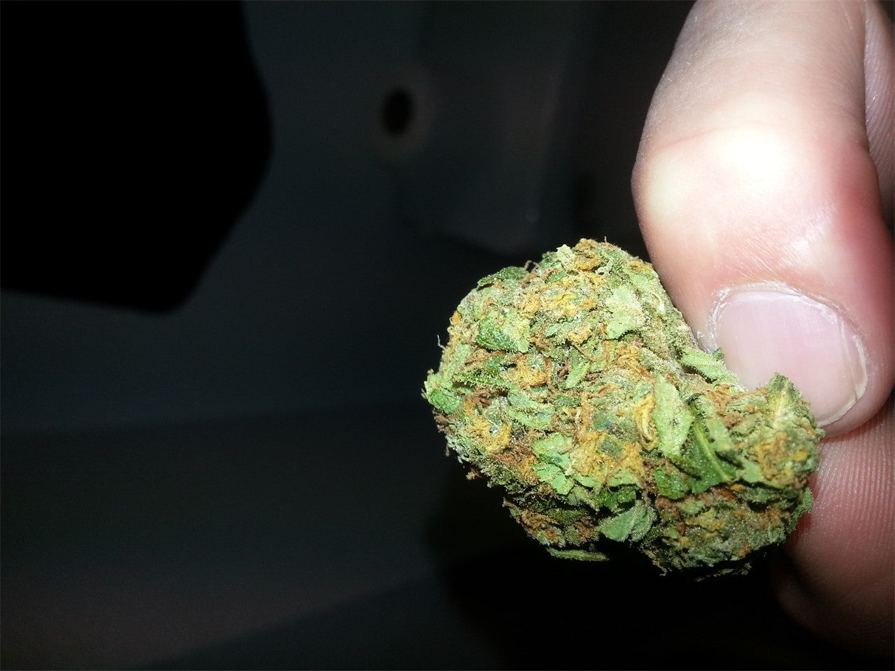 J-27 marijuana strain flower with orange and citrus flavor and energetic / focused effects - Rare Harvest sativa