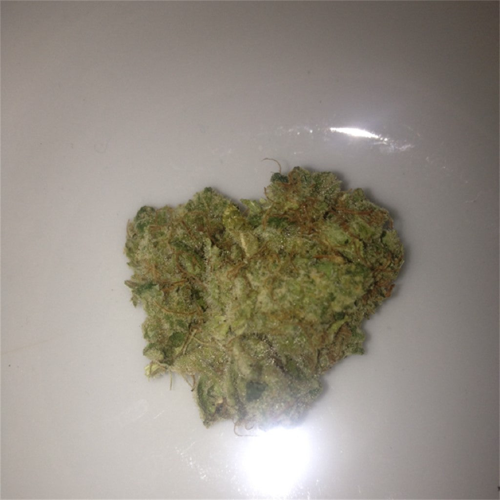 Jack Diesel marijuana strain flower with diesel and earthy flavor and energetic / creative effects - Rare Harvest sativa