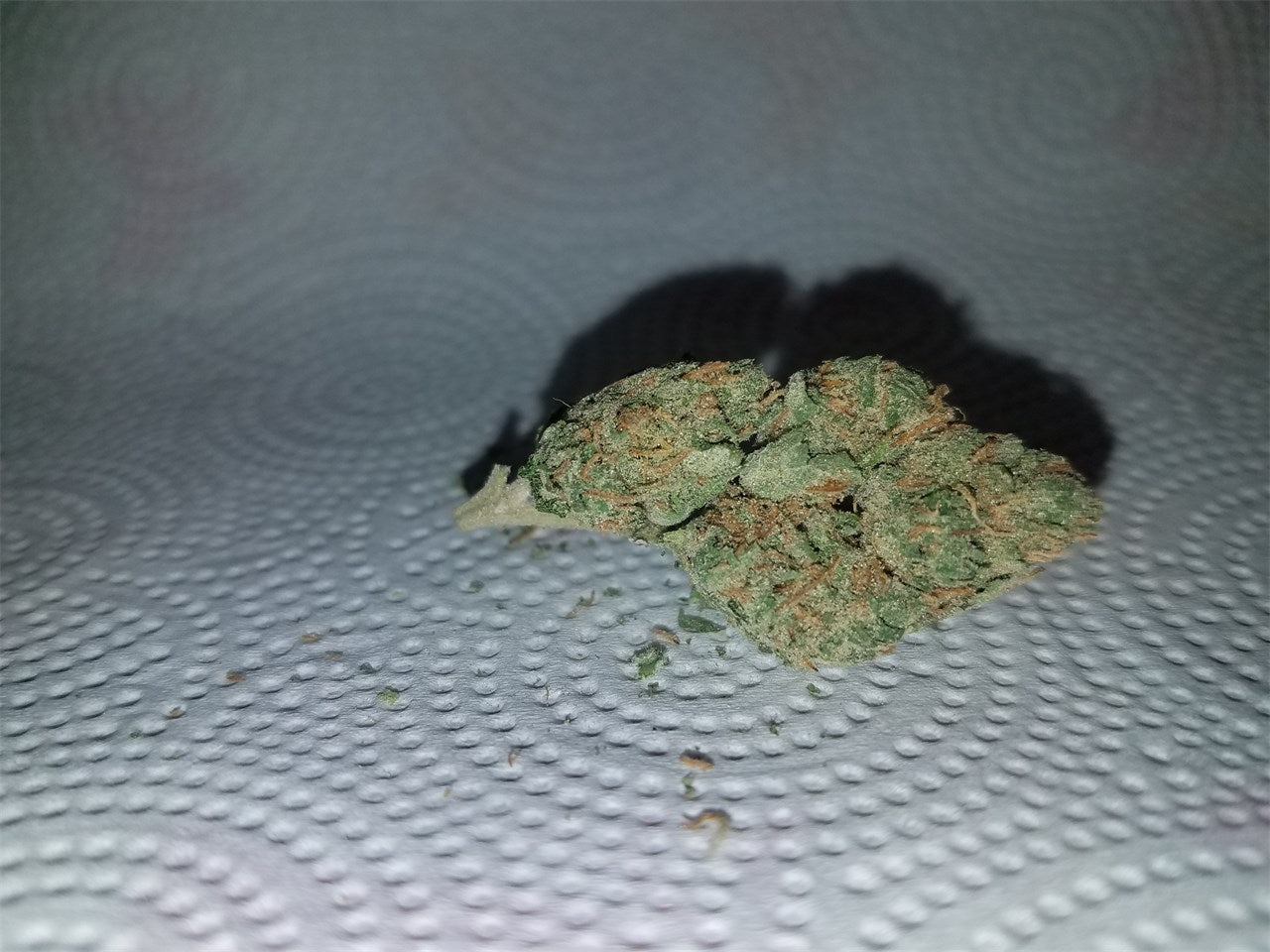 Jack Flash marijuana strain flower with citrus and spicy/herbal flavor and energetic / focused effects - Rare Harvest hybrid