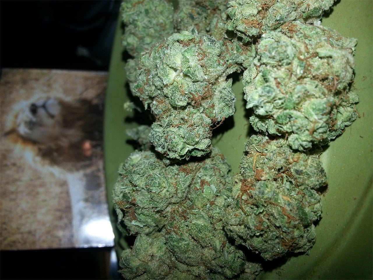 Jack Haze marijuana strain flower with tobacco and flowery flavor and energetic / giggly effects - Rare Harvest hybrid