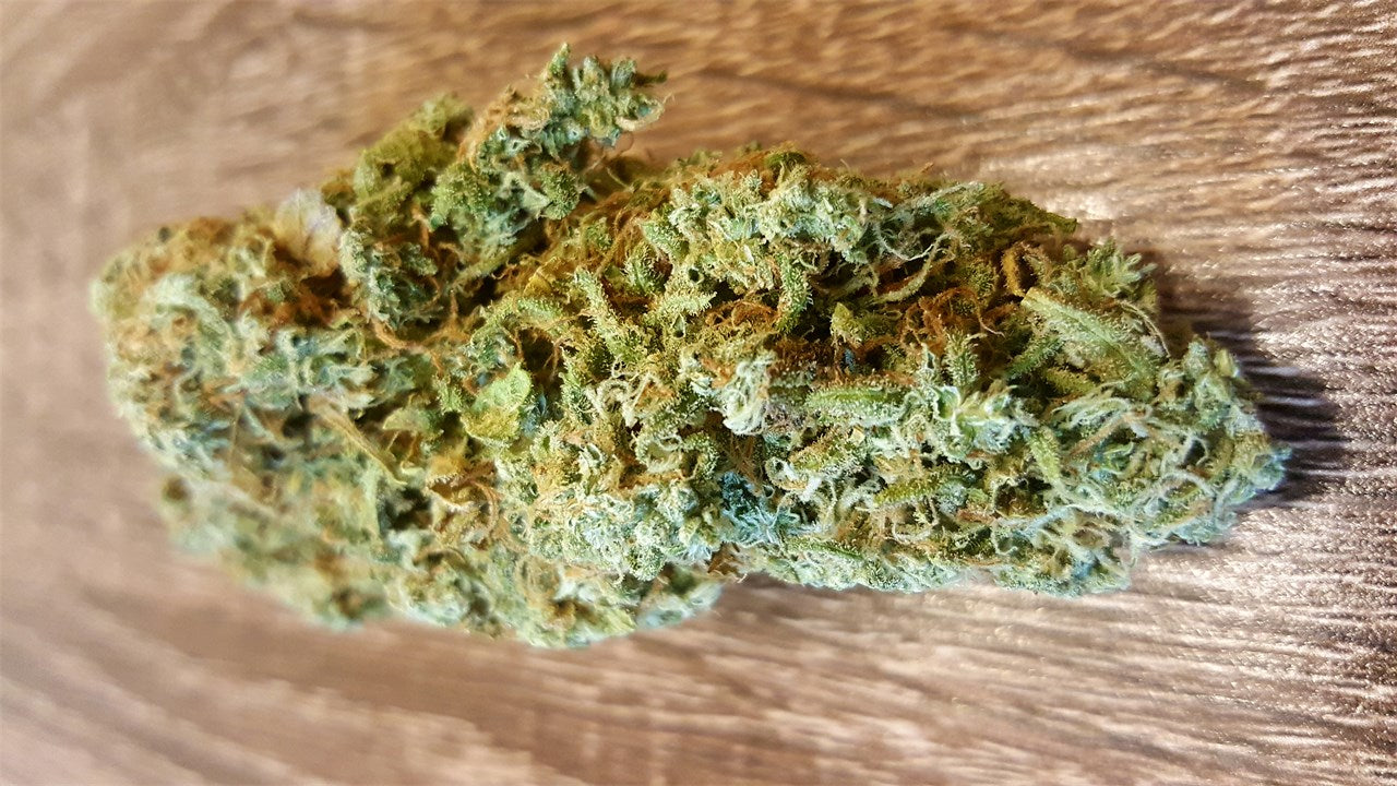 Jack Skellington marijuana strain flower with diesel and citrus flavor and creative / focused effects - Rare Harvest sativa