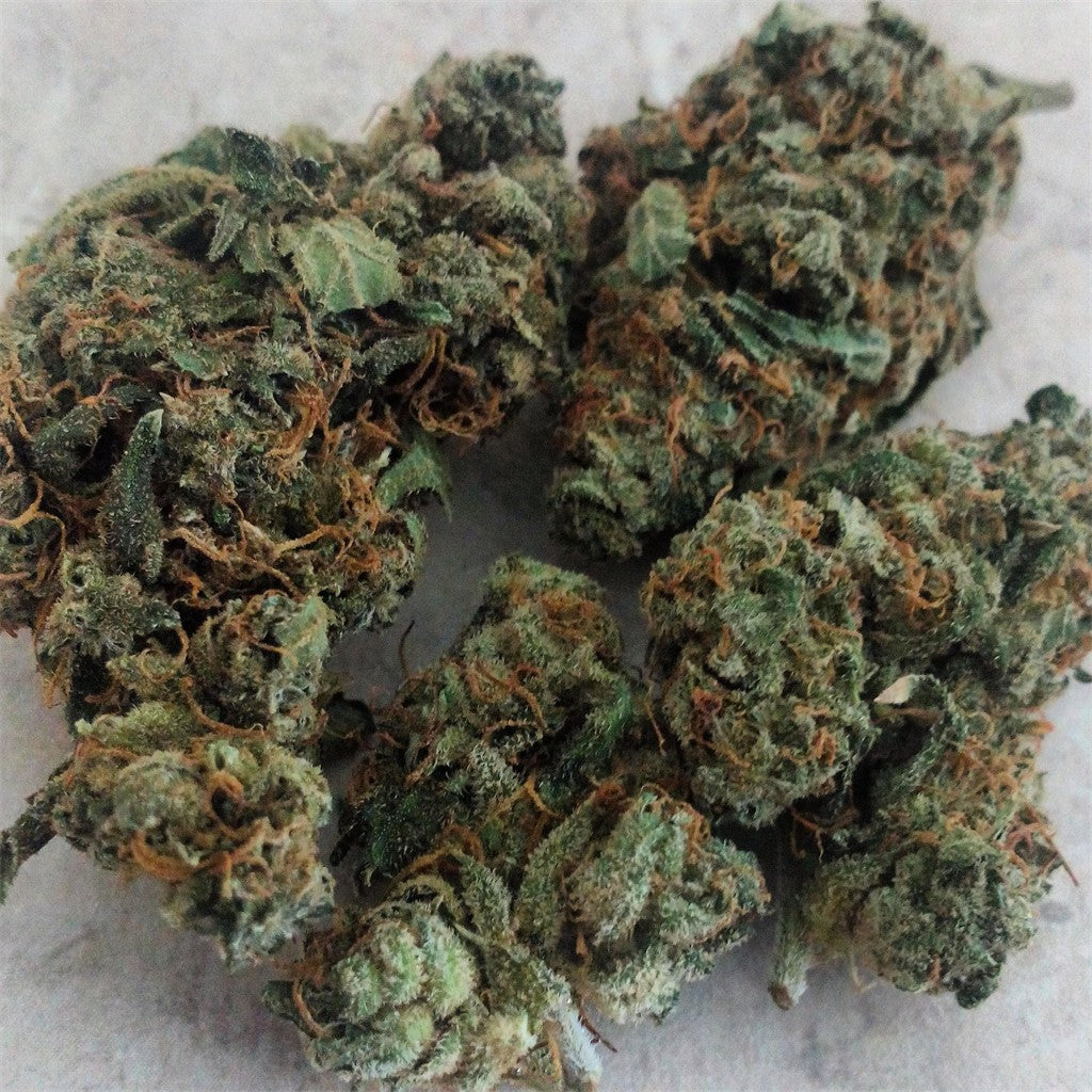 Jack Wreck marijuana strain flower with ammonia and citrus flavor and energetic / uplifted effects - Rare Harvest sativa
