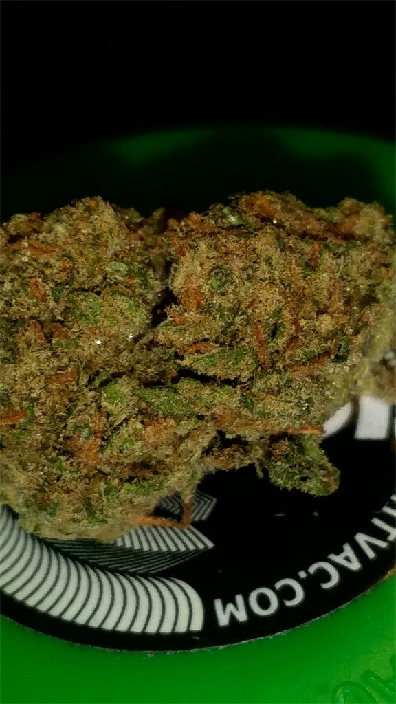 Jackalope marijuana strain flower with berry and citrus flavor and energetic / talkative effects - Rare Harvest sativa